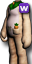 Wizerunek Kostiumu<br>(Pakiet IS)