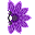 Wachlarz Mroku Y.+4
