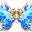 Skrzydła Morskie (Skin)