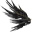 Skrzydła Czaroznawcy (Skin)