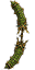 Łuk Leśnego Cyklopa (Skin)