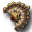 Wachlarz Bandyty (Skin)