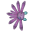 Zajęczy Wachlarz (Skin)
