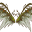 Skrzydła Leśne (Skin)