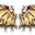 Skrzydła Steampunkowe (Skin)