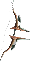 Łuk Cyjanitu (Skin)