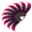 Wachlarz Agaresa (Skin)