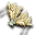 Wachlarz Faraona (Skin)