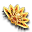 Wachlarz Piracki (Skin)