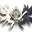 Skrzydła Ducha Grzmotu (Skin)