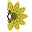 Wachlarz Wiatru Y.+0