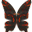 Skrzydła Lava (Skin)