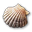 Małż