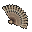 Brwisty Wachlarz+6