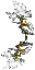 Anielski Łuk (Skin)