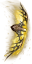 Łuk Diabła (Skin)