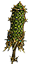 Szpon Leśnego Cyklopa (Skin)