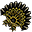 Wachlarz Mroku (Skin)*