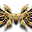 Skrzydła Władcy Smoków (Skin)