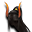 Fryzura Ninja (K)