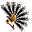 Tarczowy Wachlarz (Skin)