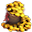 Skarb Małp