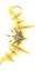 Łuk Zwycięstwa (Skin)