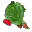 Morwa