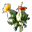 Oset